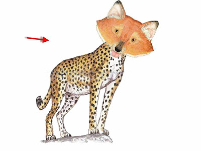 Đuổi hình bắt chữ vui có đáp án, bao cao