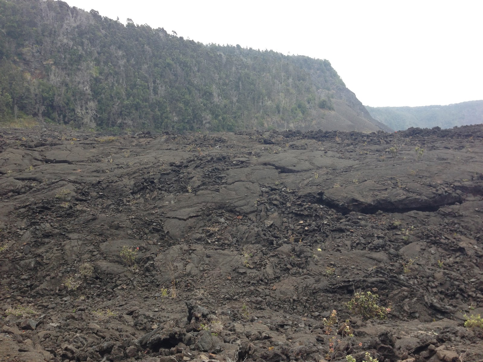 Kona Space Volcanic Soil Aroma