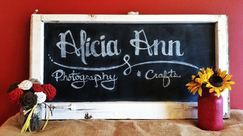 Alicia Ann Photography & Crafts