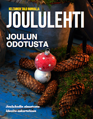 40 sivua jouluideoita!