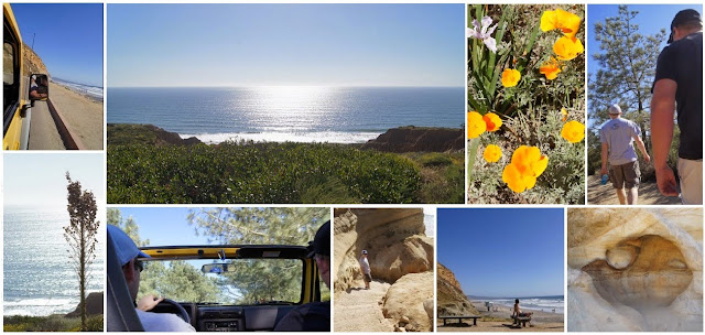 Torrey Pines, San Diego