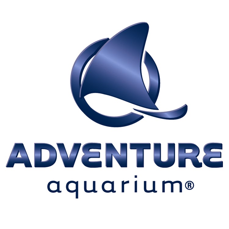 Event Button’s Birthday Bash returns at Adventure Aquarium Frugal