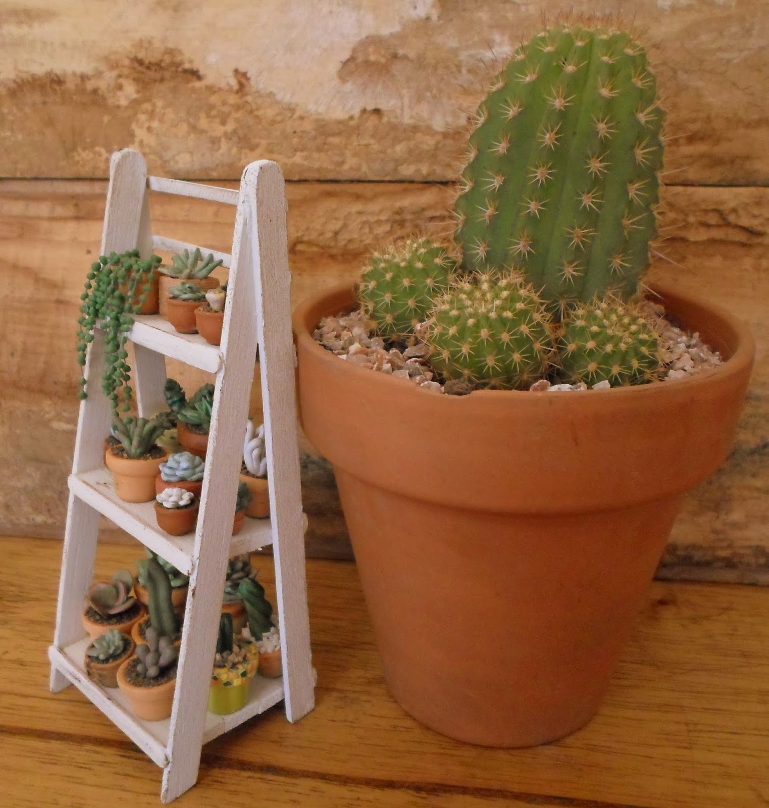 Las Margaritas: Escalera estante de madera, para mis cactus y suculentas