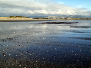 Otaki Beach, low tide, looking east to the Tararua Ranges