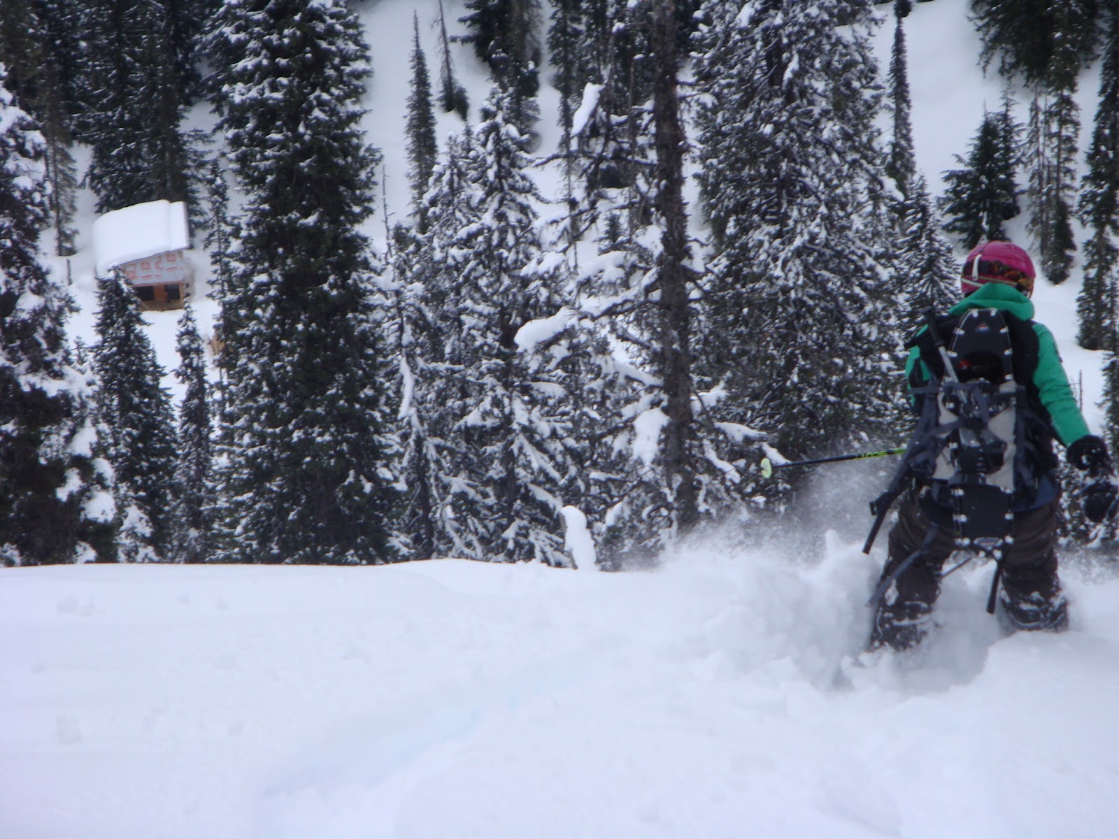 Snowy Mountain Alpine Tours