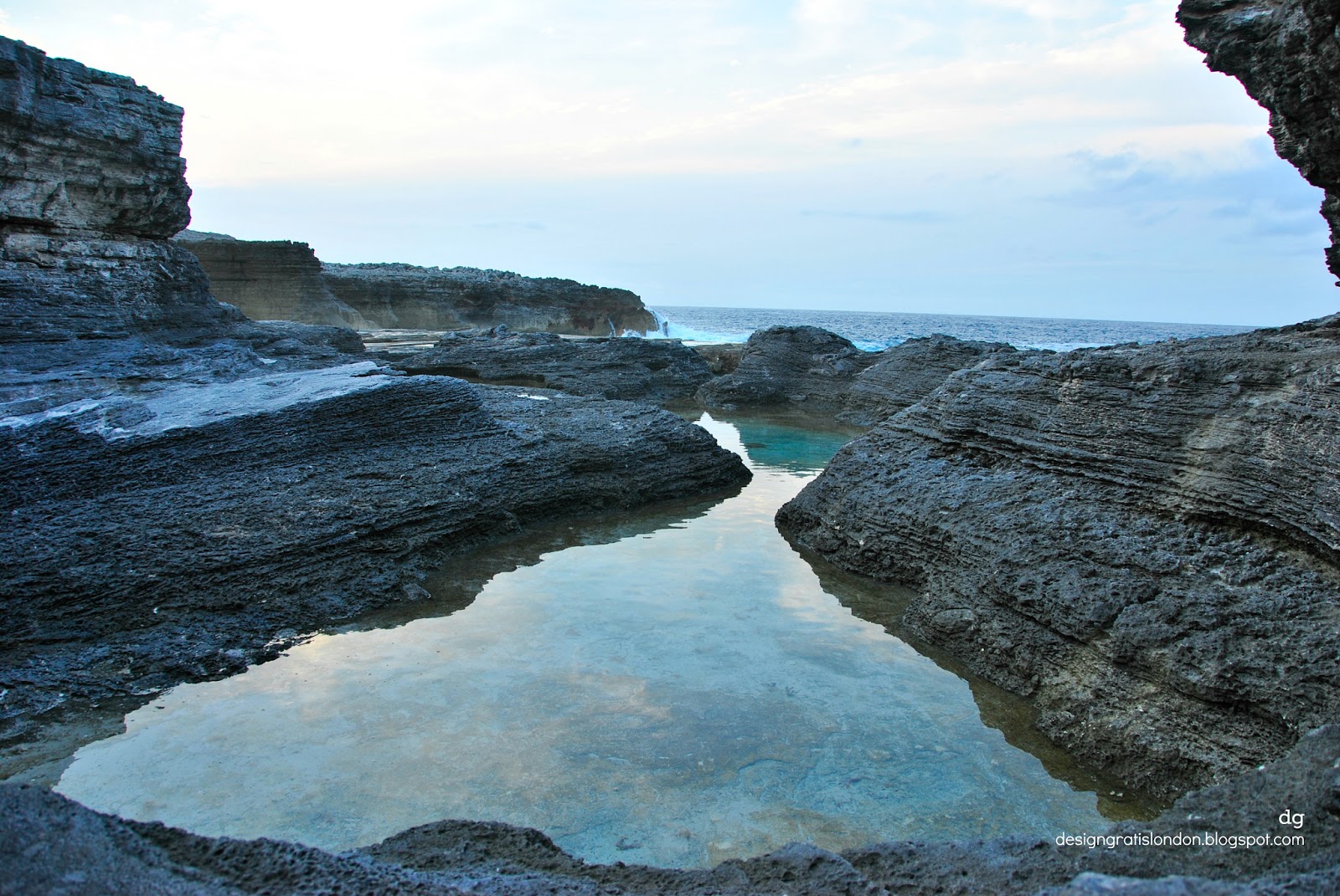 dg View Through The Lens