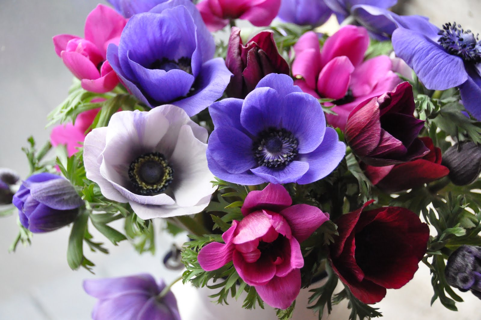 Marigold and Mint A Passion for Purple Flowers