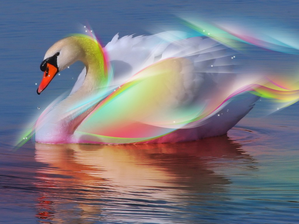 http://2.bp.blogspot.com/-e51rcCbMOWA/Tn3k1orvOmI/AAAAAAAAAA8/gjlqJs6k3Rs/s1600/3d_wallpapers_free_download+3.jpg
