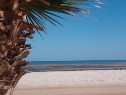 A San Felipe Beach