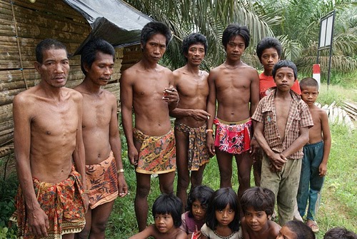 Kubu / Anak Dalam Tribe - Indonesian Cultures