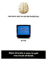 Head of Neuroscience: June 2011