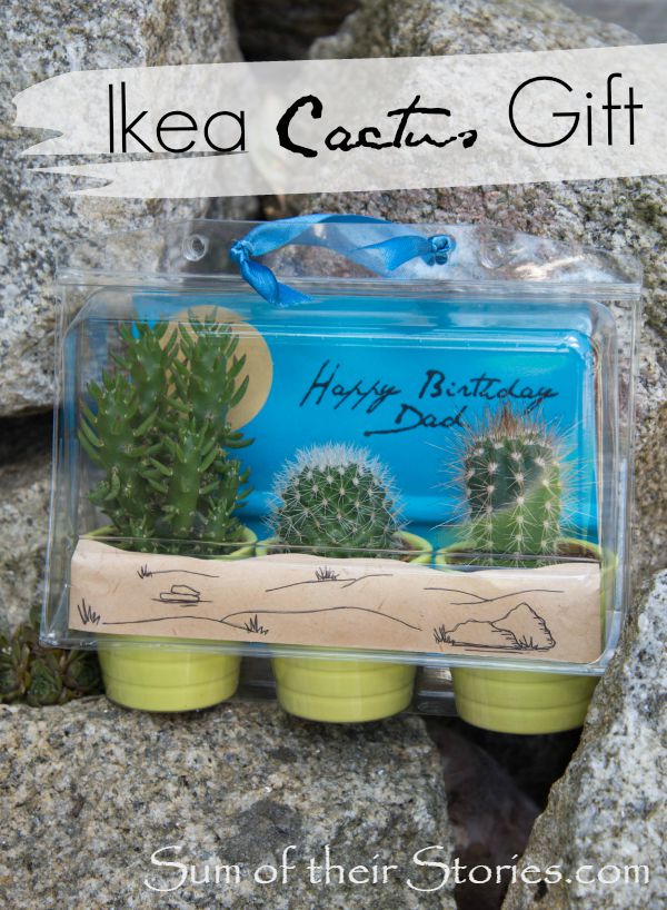 IKEA Cactus Gift Wrap Sum of their Stories