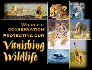 Wild animals conservation