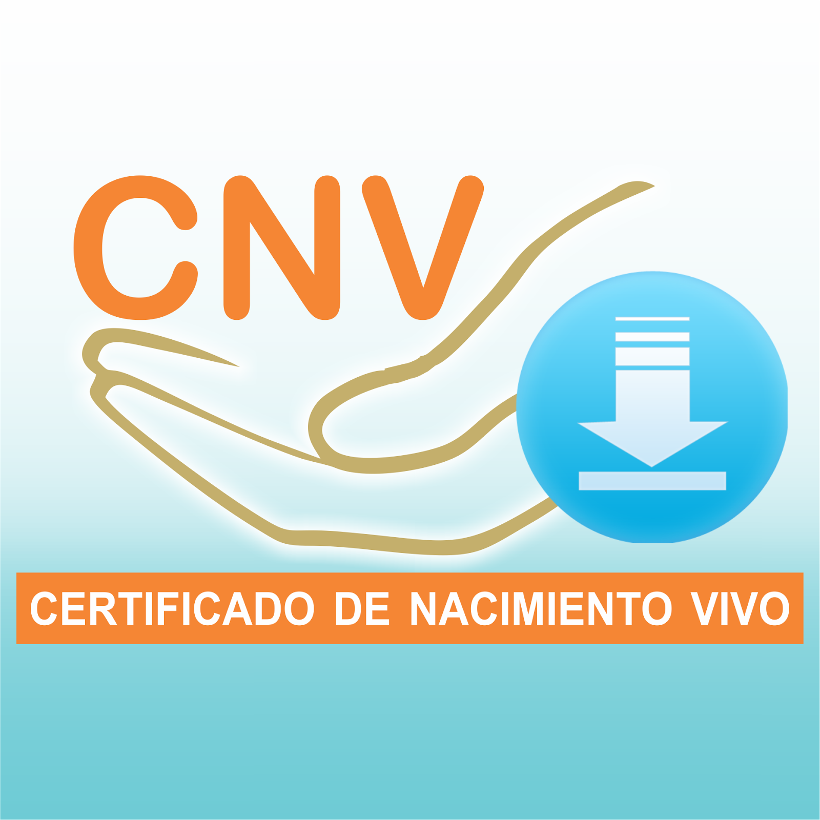 CNV ACTUALIZADA AL  30-09-2017