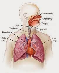 Science Form 3 Chapter 1 Part 1