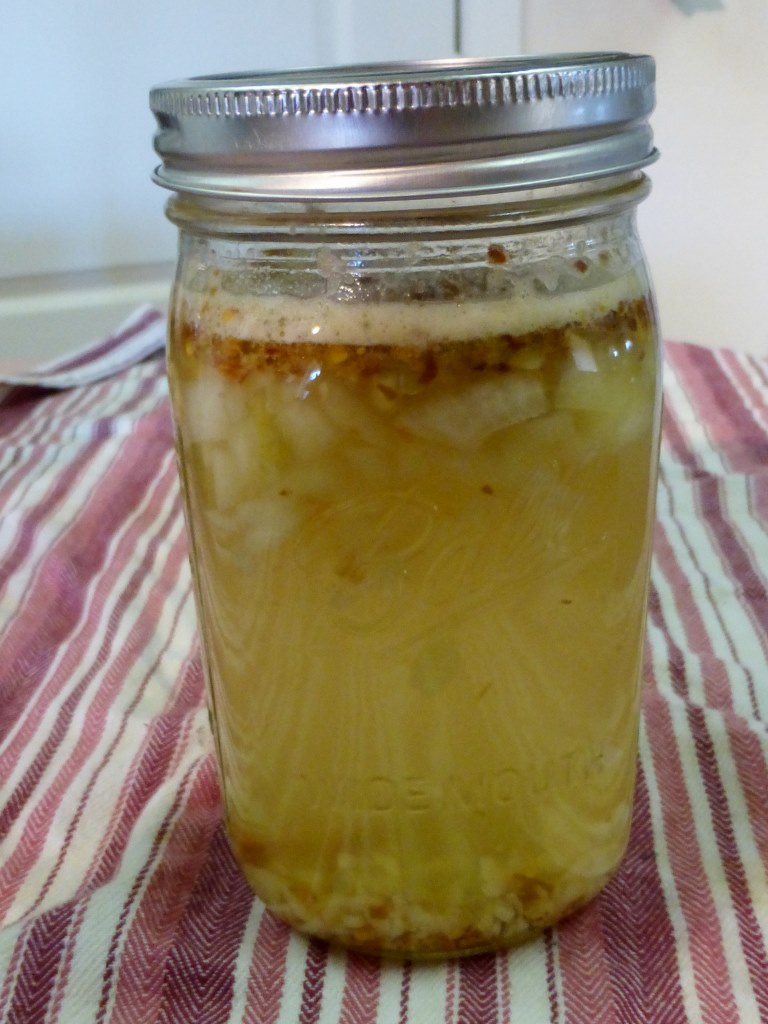 CreativeCritters Blog Natural Squash Bug Killer recipe