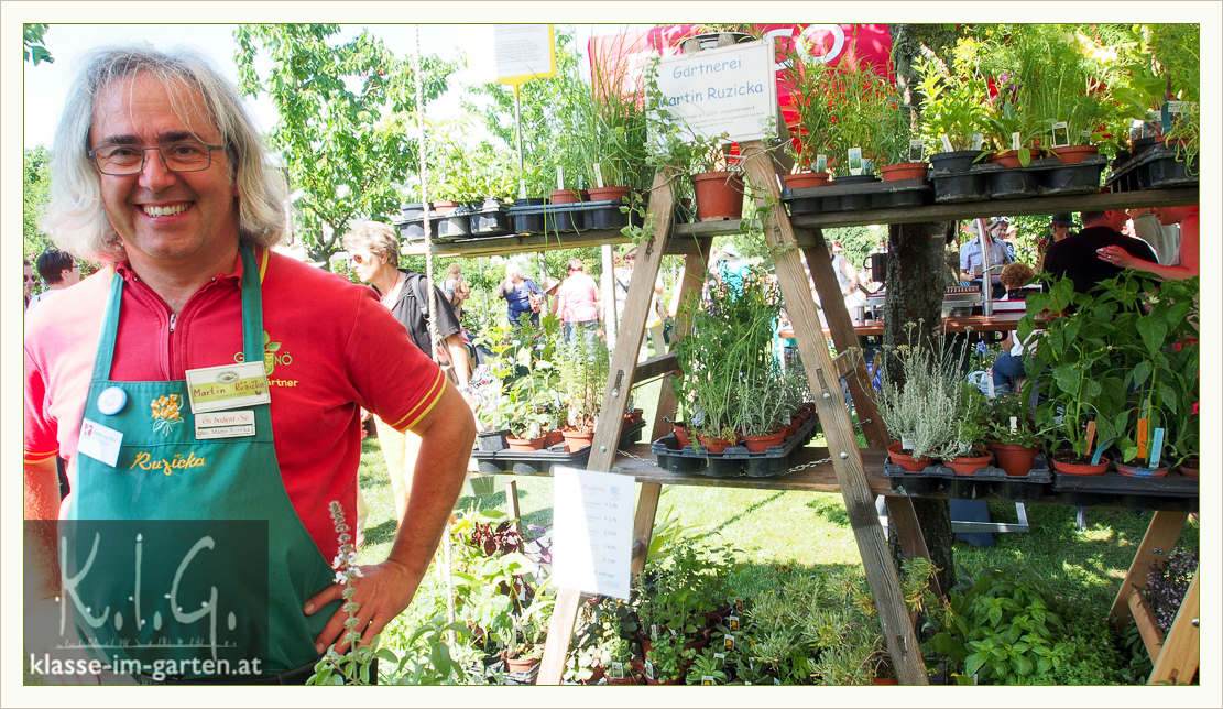 Storchschnabel Und Andere Stauden Page 1 Chan 31479082 Rssing Com