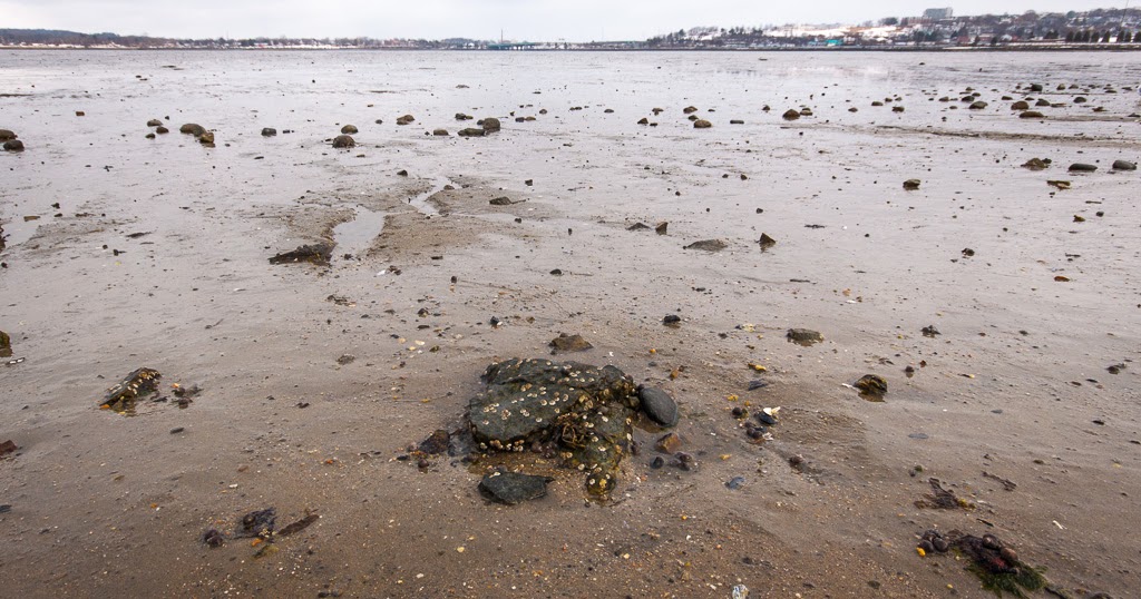 Corey Templeton Photography Low Tide