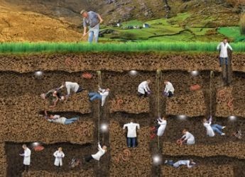 soil scientist