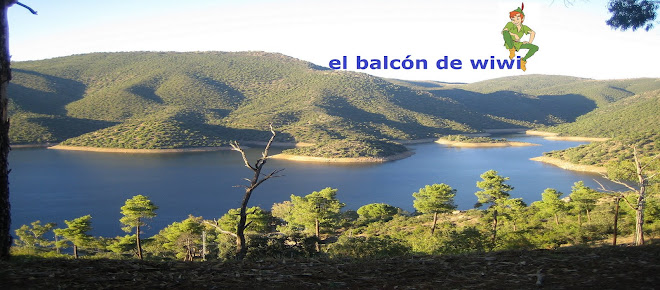 el balcón de wiwi