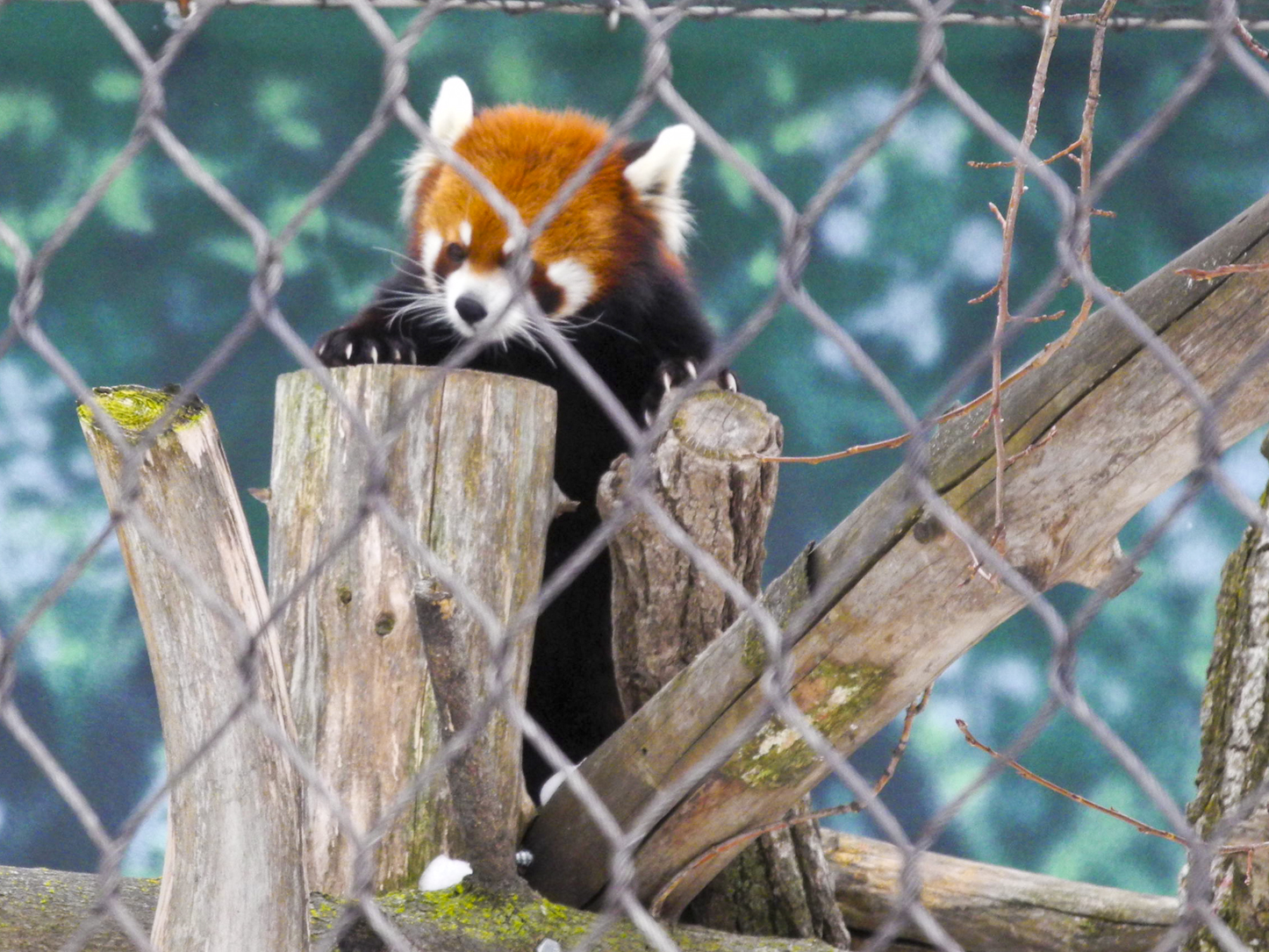 Wisconsin Explorer Henry Vilas Zoo Madison