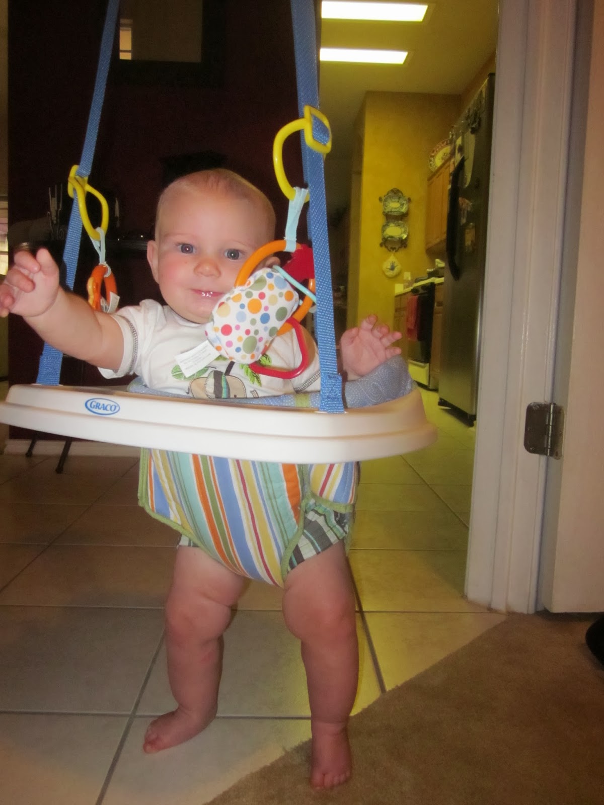 Livin' with the Lawsons Johnny Jumper