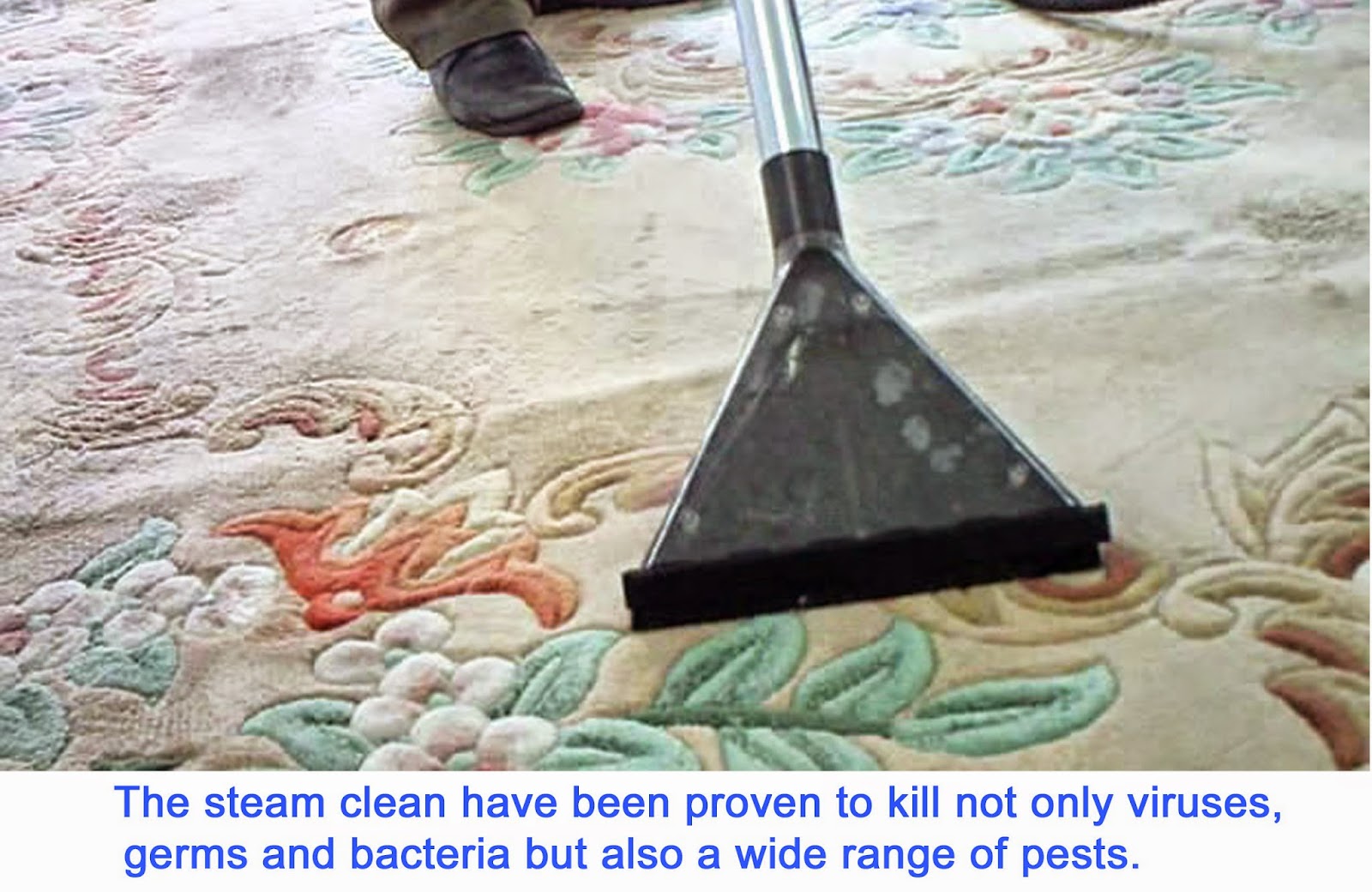 Morck Cleaning How to Use a Steam Cleaner