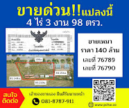 ที่ดินเขาใหญ่ กม.8 ธนะรัชต์