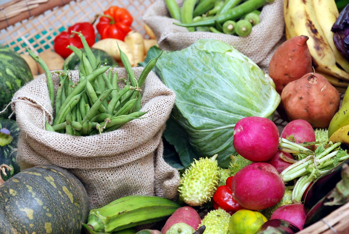 Alimentação equilibrada