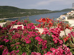 Neum