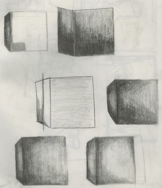 Observational Drawing 1 Week 2 Drawing the Basics Measuring