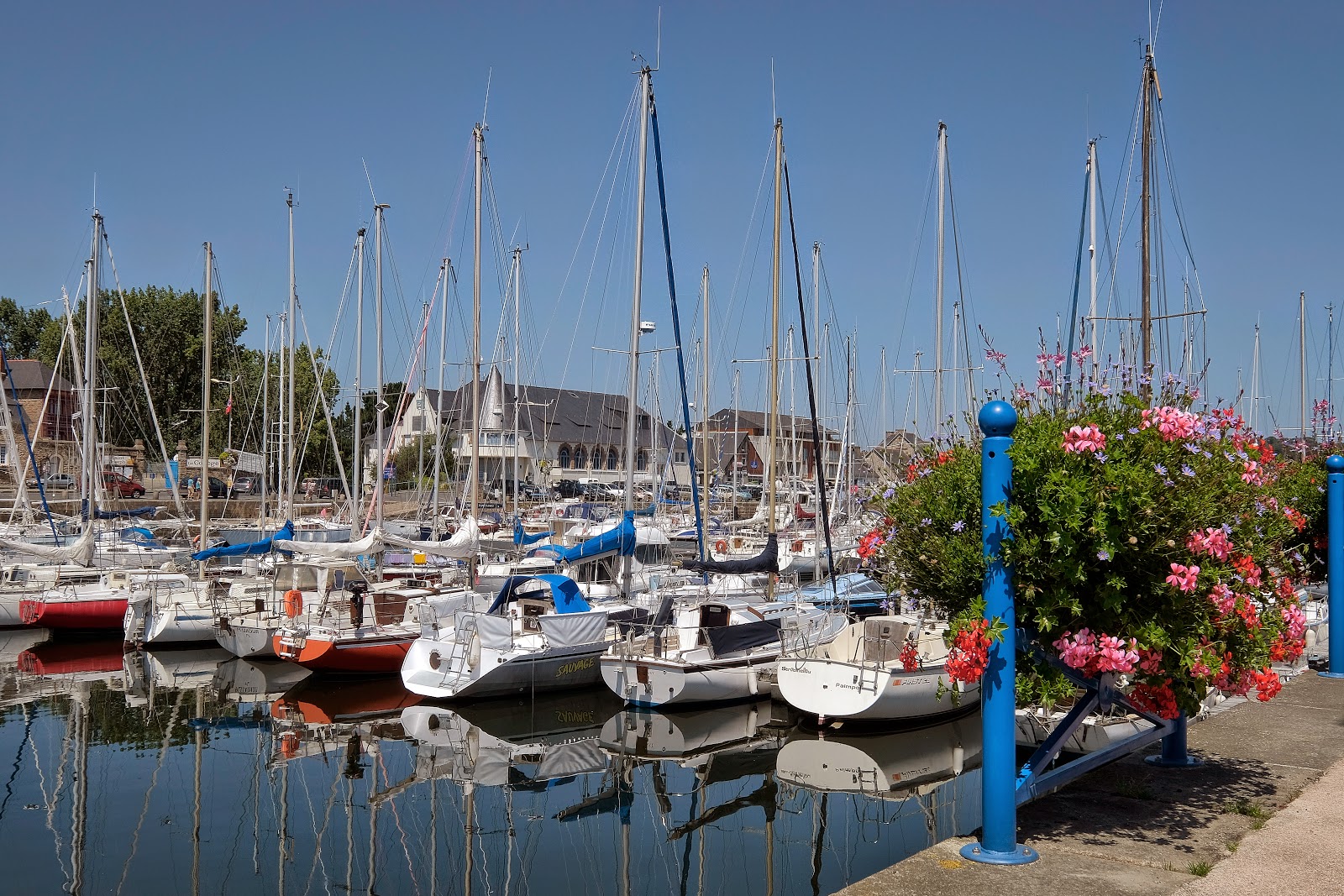 rencontre lezardrieux