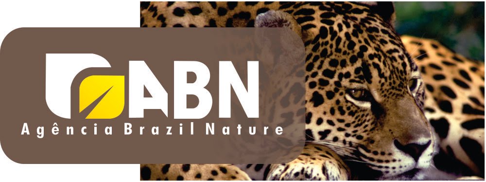 ABN - Agencia Brazil Nature / Bonito MS