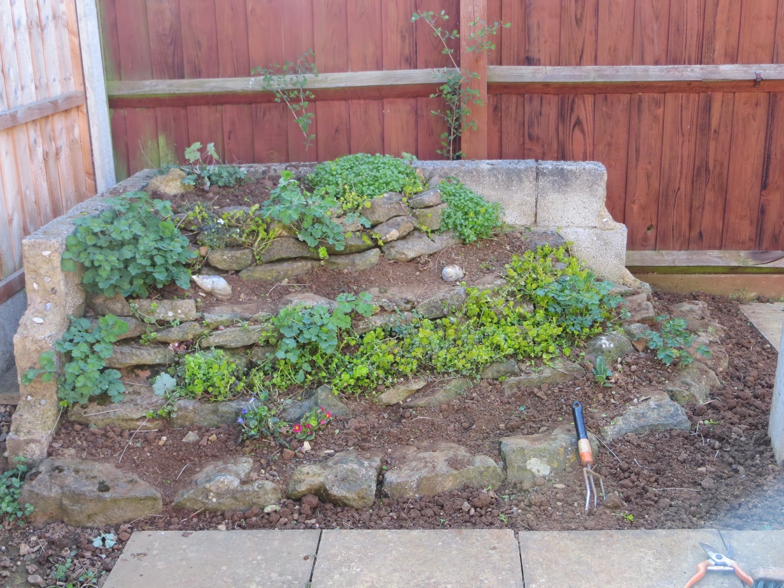 Rockery redo and a bit on the plot. Allotments 4 you