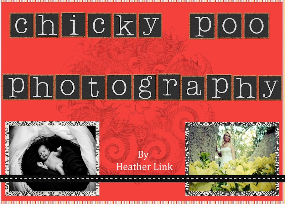 Chicky Poo Photography