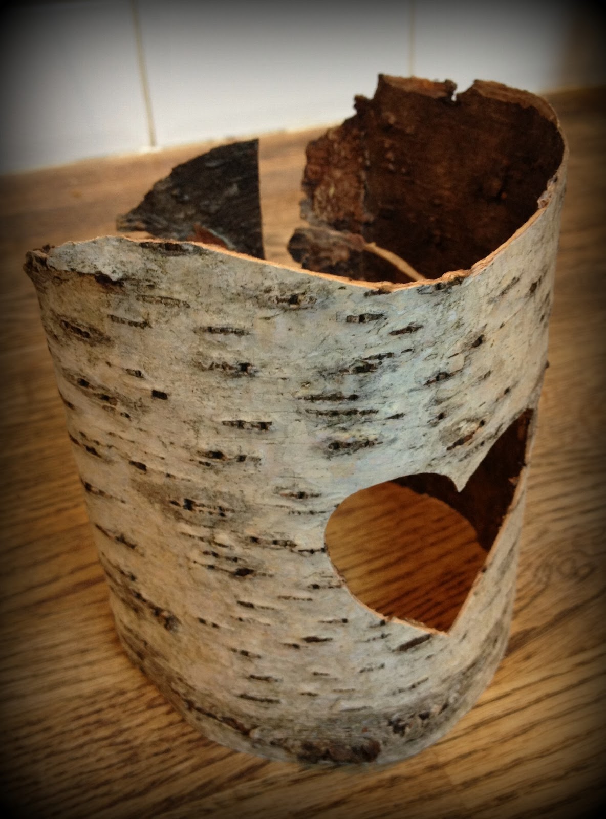 Me and my shadow How to make Silver Birch Bark Candle Holders