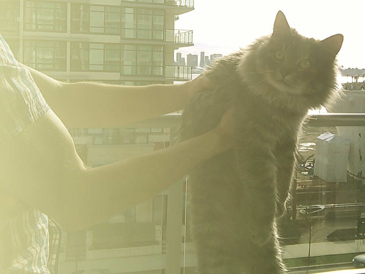 Meowface gets some sun