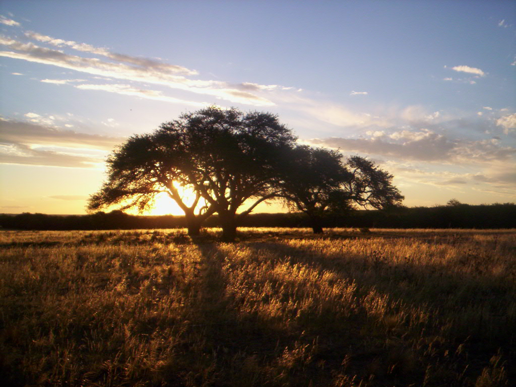 Argentina Recursos Naturales Sociedad Y Medio Ambiente | argentina recursos naturales sociedad y medio ambiente Argentina Recursos Naturales Sociedad Y Medio Ambiente | argentina recursos naturales sociedad y medio ambiente