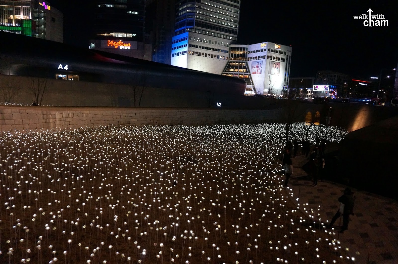 Walk With Cham Led Rose Garden Dongdaemun Design Plaza