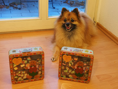 Christmas Presents for Barney the Pomeranian Rocky Road chocolate