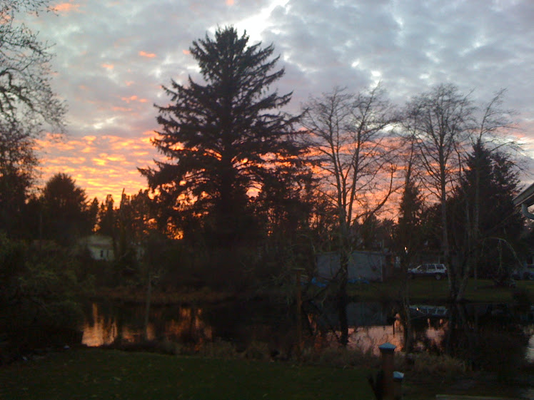 Winter Sunset, Loomis Outlet