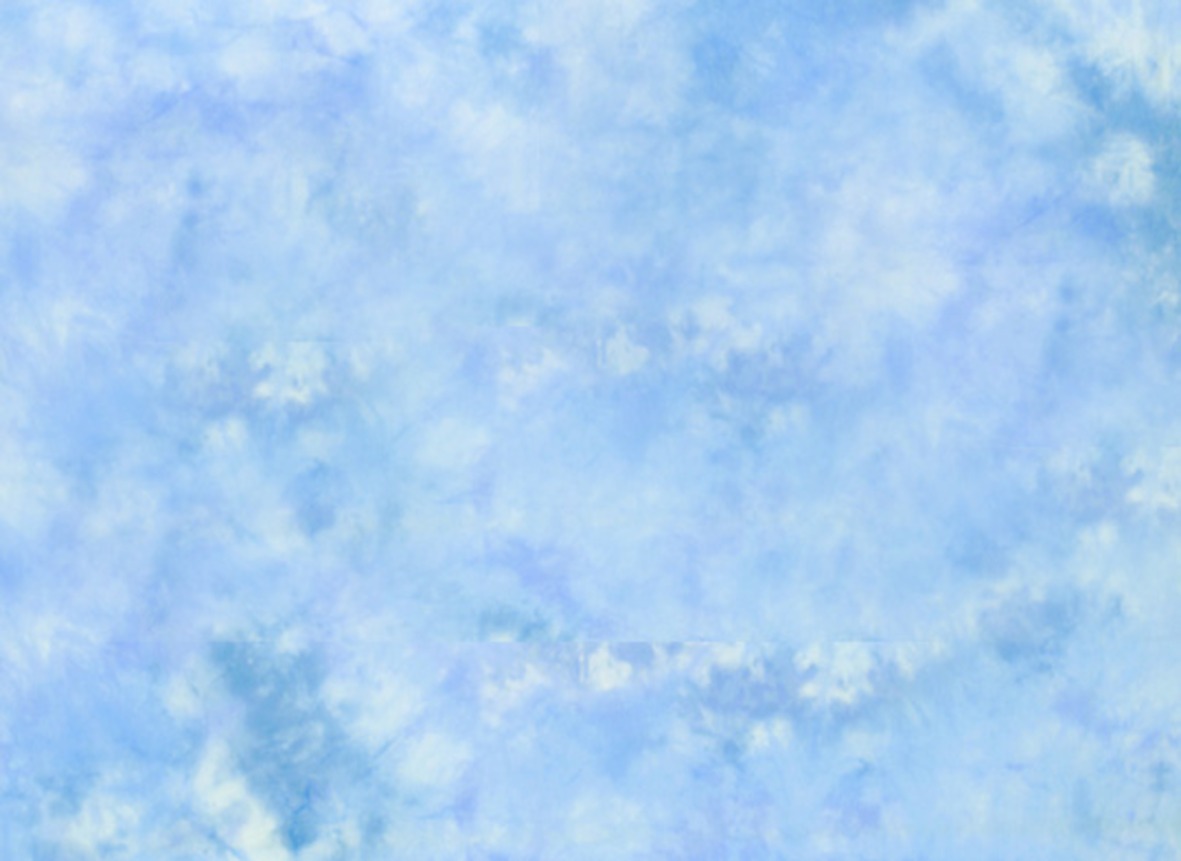 Muslin Backdrops Joy Studio Design Gallery Best Design