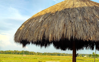 Rumah Motif Alam Rumah Motif Alam