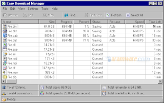 Easy Download Manager  Easy-Download-Manage