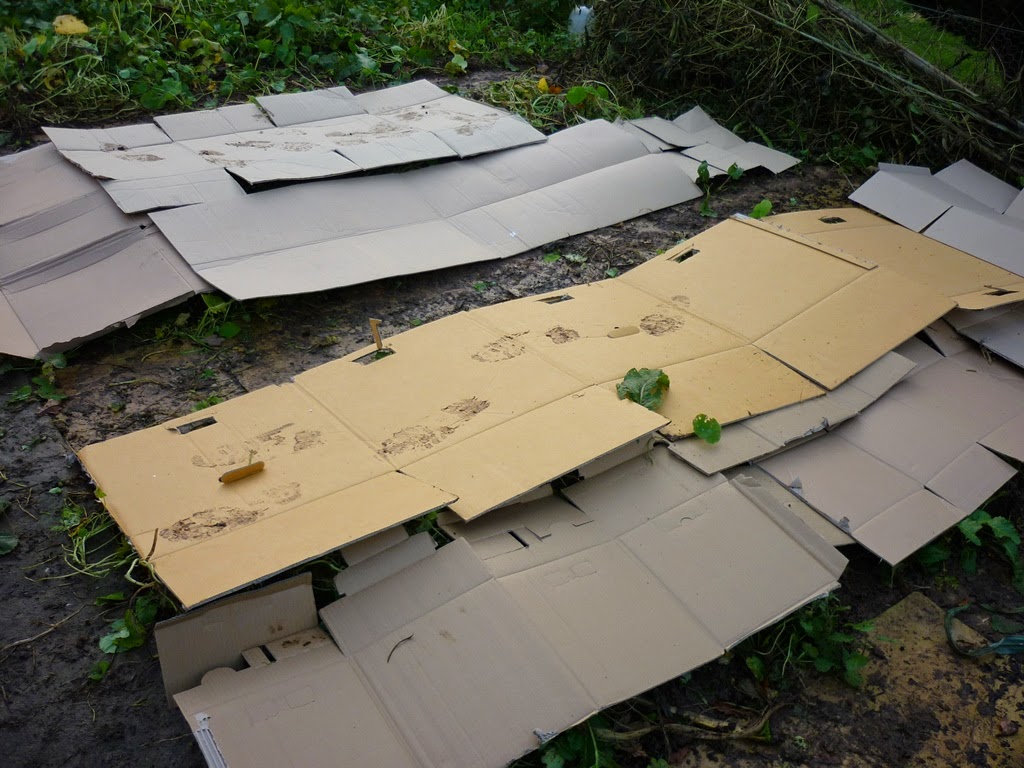 An English Homestead Cardboard Mulching