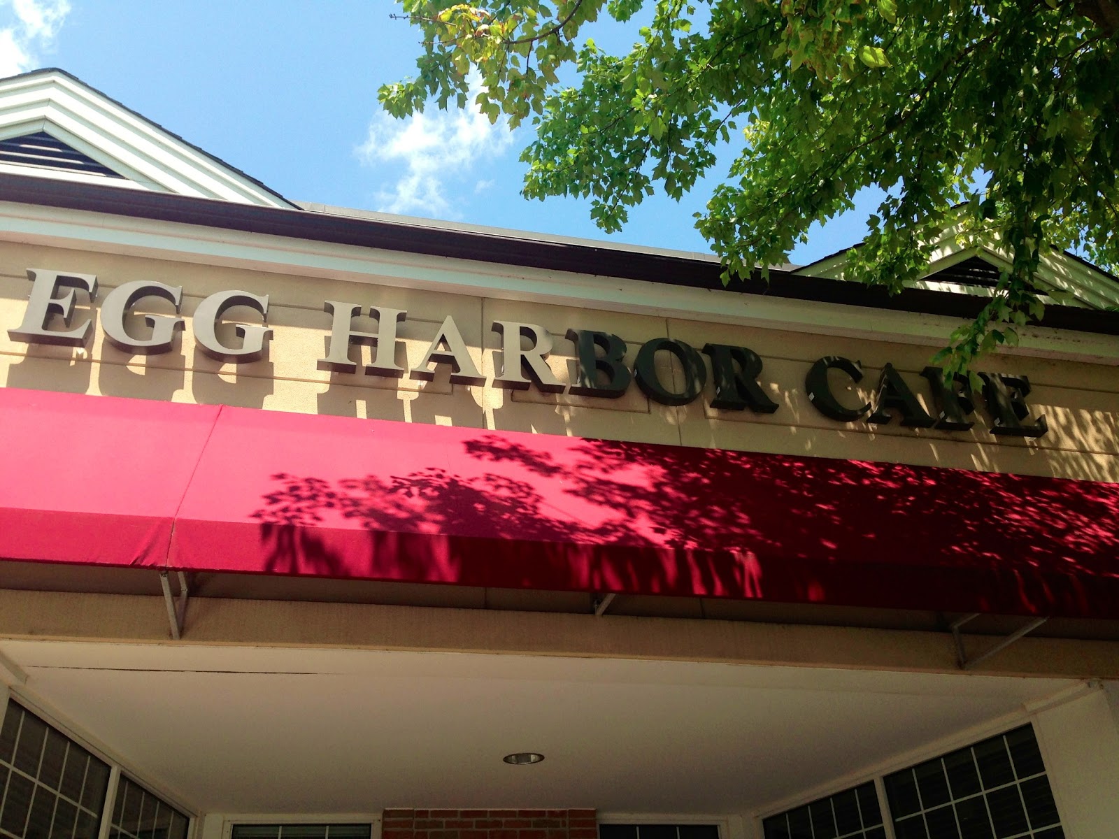 Lisa Living Well Lake Geneva Egg Harbor Cafe and Yogeeze