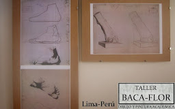 TALLER BACA-FLOR