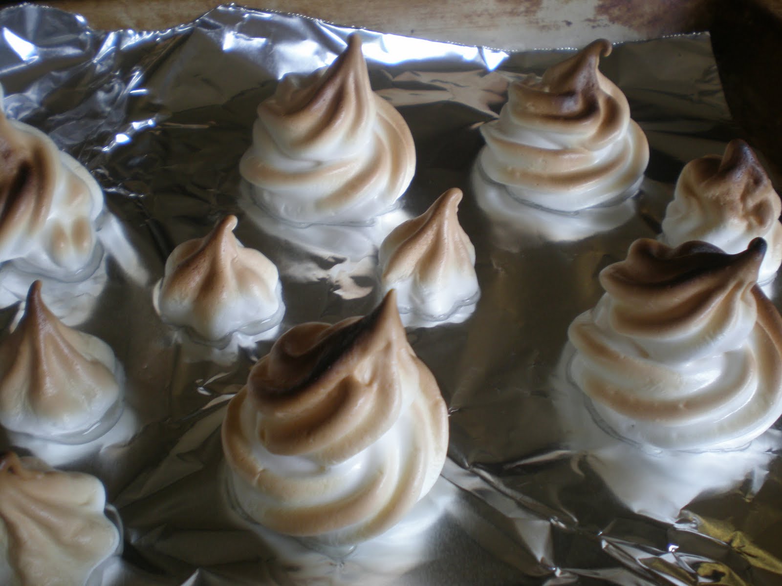 Daring Bakers Chocolate Marquise on Toasted Meringue Munchie Musings