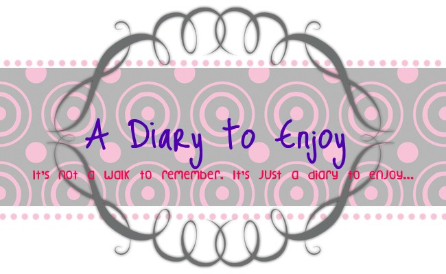 A Diary to Enjoy