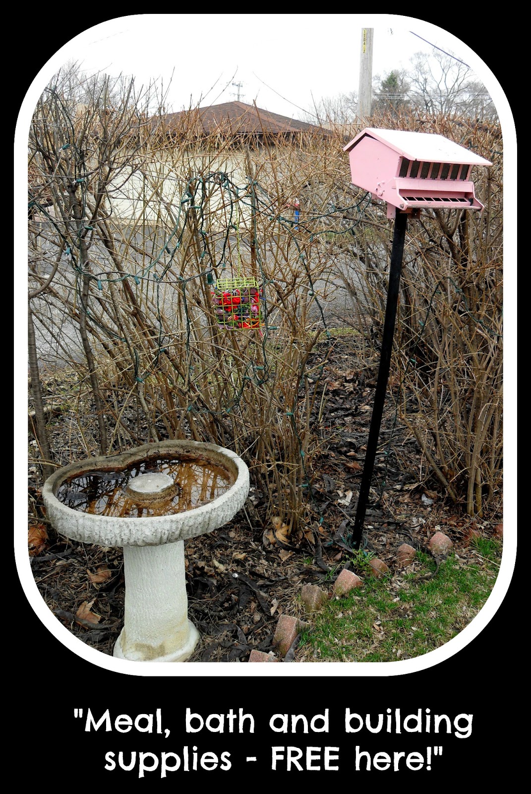 "Wonderfully Made" Nest Decor